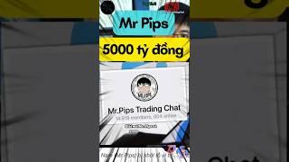 Giải mã Mr.Pips và 5.000 Tỷ Đồng | MrFarmer Thông Thái