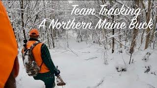 Tracking A Northern Maine Buck As A Team | Rifle Season '24