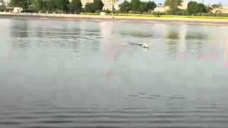 hengtai 2879 rc cruiser