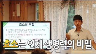 [방태환원장의 건강강의] 식물효소와 건강