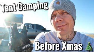 Tent camping with my dog in the cold before xmas