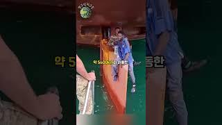 선박 방향타에서 목숨을 건 밀항