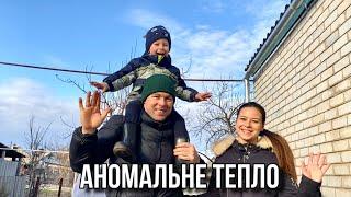 ПОСІВНА ПЕТУНІЙ! РЕЦЕПТ СОЛІННЯ САЛА!