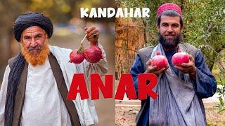 Anar | Kandahar | Pomegranate | Documentary | Afghanistan