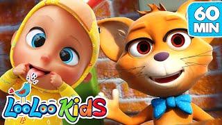 Mister Cat - S2EP33 Musical Adventure Collection - LooLoo Kids Songs for Kids