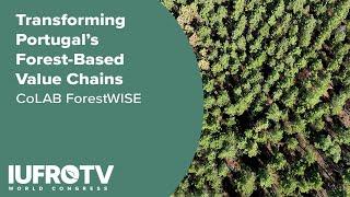 Transforming Portugal’s Forest-Based Value Chains - CoLAB ForestWISE