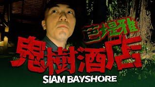 【Siam Bayshore】Pattaya hotel's ghost tree.｜APLIFE