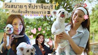 (FULL) ปราจีนบุรีแบบจุกๆ l Pet Lover by Jerhigh EP.43