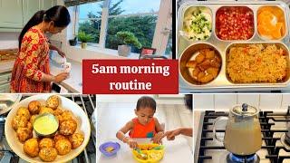 Busy 5AM Morning Routine of a working mom | simple recipes | NRI Tamil Vlog