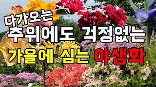 가을에 심는 다년생 야생화로 정원을 화사하게 만들어보세요. - 경기도 여주시 세종대왕면 마장로99-31 여주자연농원