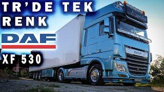 JAMAİKA MAVİSİ DEĞİL  / DENİZ MAVİSİ  / 2020 DAF XF 530