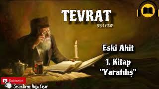 TEVRAT Türkçe | Eski Ahit 1.Kitap “Yaratılış” (SESLİ KİTAP)