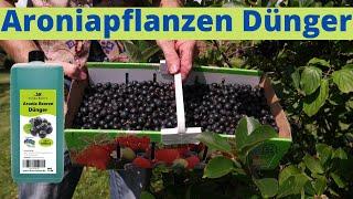  Aroniapflanzen Dünger Flora Boost - Rekordernte durch düngen von Aronia Pflanzen?