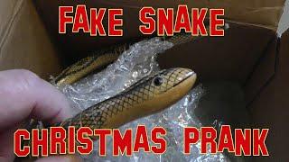 FAKE SNAKE CHRISTMAS PRANK