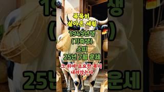 1949년 기축생 소띠 25년 7월 운세, 금전운, 가족운, 행운의 숫자등을 확인해보세요~ #사주 #운세 #복  #지식  #재물운  #행운 #풍수 #대박운 #띠별운세