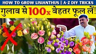 गुलाब का नाम भूल जाओगे इस फूल को देख कर || How to Grow Lisianthus || A-Z TRICKS || Lisianthus Plant