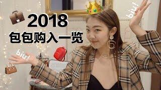 2018我买了什么包 | Louis Vuitton | Balenciaga | Marc Jacobs | Marni | 包治百病! 必须有姓名! | Jessi Woopee