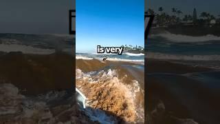 Every man’s dream (@whoisjob)