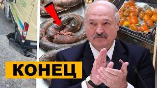 Лукашенко потерял страх / ДНО пробито / Что происходит в Беларуси / Народные Новости