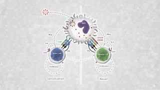 Capabilities of the OX40 assay to determine specific SARS-CoV-2 T cell responses