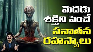 ఈ చూర్ణాన్ని చిటికెడు చప్పరిస్తే, మెదడు సూపర్ కంప్యూటరే | Amazing Memory Power Secrets