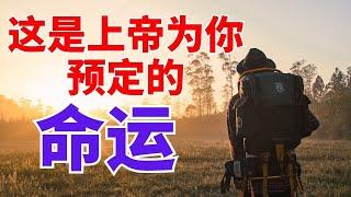 生命智慧【这是上帝为你预定的命运】是上帝在等你 l  装备生命