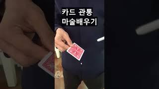초간단 카드관통마술 배우기 -진전마-