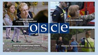 Snapshot: OSCE project efforts to assist Ukraine in 2024, part 1