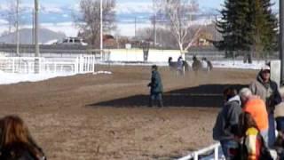 Rigby Cutter Races