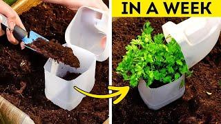 5 Minute Gardening Hacks: How to save time and money in the garden