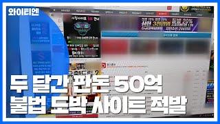 두 달간 판돈 50억...불법 도박 사이트 적발 / YTN