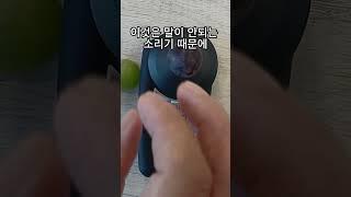 당도측정기 사용시 적정온도는?