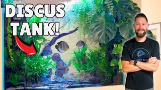 Beautiful 300 Gallon Tall Discus Aquarium + Aquascape Studio (Private Tour)