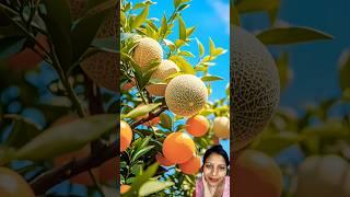 Amazing Beautiful Natural chinna chinna fruit cutting and testing furts orange  #carvingfruit