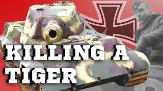 Battle Of The Bulge - The Last Stand of King Tiger 213