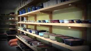 Wigerts Bonsai Nursery video 2013