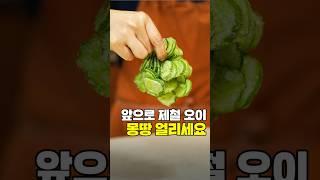 얼리면 진짜 유용한 오이
