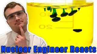 A Cure for Radiation Poisoning? - Nuclear Engineer Reacts to NileRed