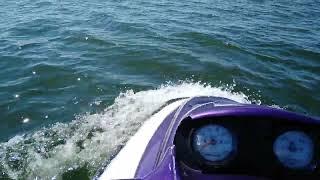 Potomac River Dolphin Ride Beside 1999 Sea Doo GTI