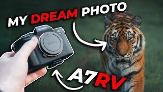 The KING Of Wildlife Photography - Sony A7RV + Focus Settings