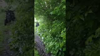 Очистные сооружения город Лебедянь 08.05.2025