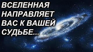 6 ПРИЗНАКОВ ТОГО, ЧТО ВСЕЛЕННАЯ НАПРАВЛЯЕТ ВАС К ВАШЕЙ СУДЬБЕ!