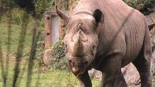 Paignton Zoo - Watch This Video For A Quick Tour Of The Zoo