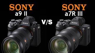 Sony a9ii vs Sony a7R III  | Quick Camera comparison