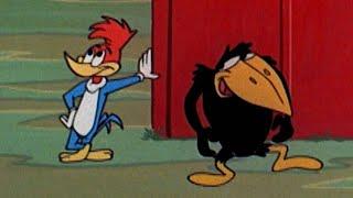 Switch Places with Me! | 2.5 Hours of Classic Episodes of Woody Woodpecker