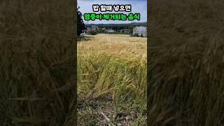밥 지을때 넣으면 염증이 사라지는 음식 3가지 #건강정보 #건강