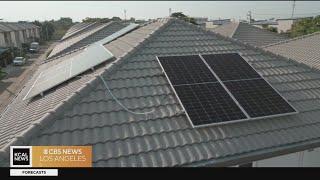 On Your Side: Solar industry bankruptcies