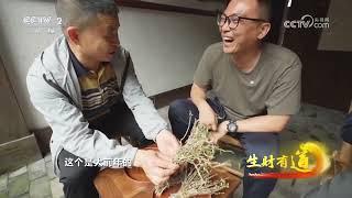 《生财有道》 20240701 雁荡山寻宝记| 财经风云