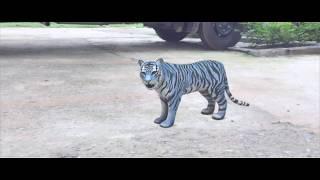 Ever Seen A Blue Tiger ? Maltese tiger CG