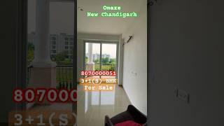 For Sale Omaxe Celestia Royal 3+ servant in New Chandigarh #newchandigarh #omaxe #realestate